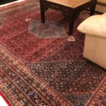 Persain Carpet 9 X 12