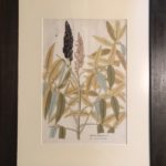 Set Of 4 Framed Early Botanical Prints