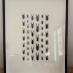 Large Framed Art Of Stag Beetles From 7 Continents! Purchased At North Carolina Gallery