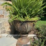 Pair Of Urns With Ferns!